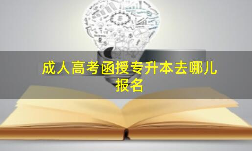 駐馬店成人高考專升本在哪里報名？